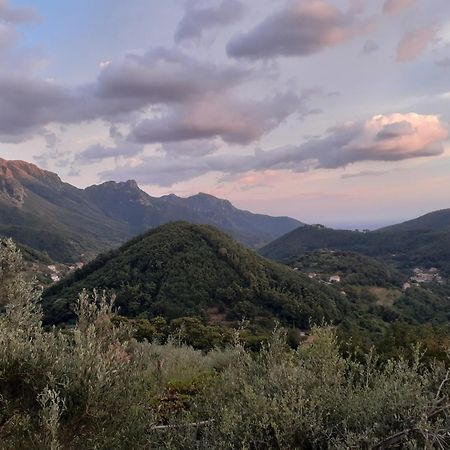 La Casa In Vigna Βίλα Tramonti Δωμάτιο φωτογραφία