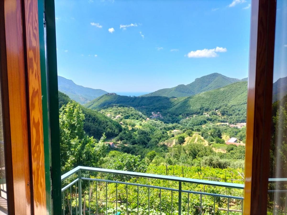 La Casa In Vigna Βίλα Tramonti Εξωτερικό φωτογραφία