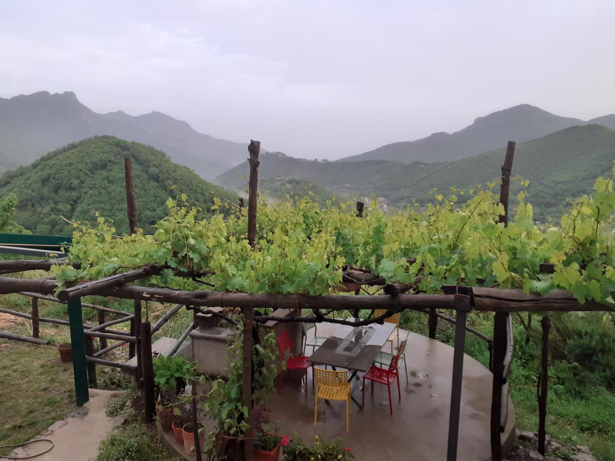 La Casa In Vigna Βίλα Tramonti Εξωτερικό φωτογραφία