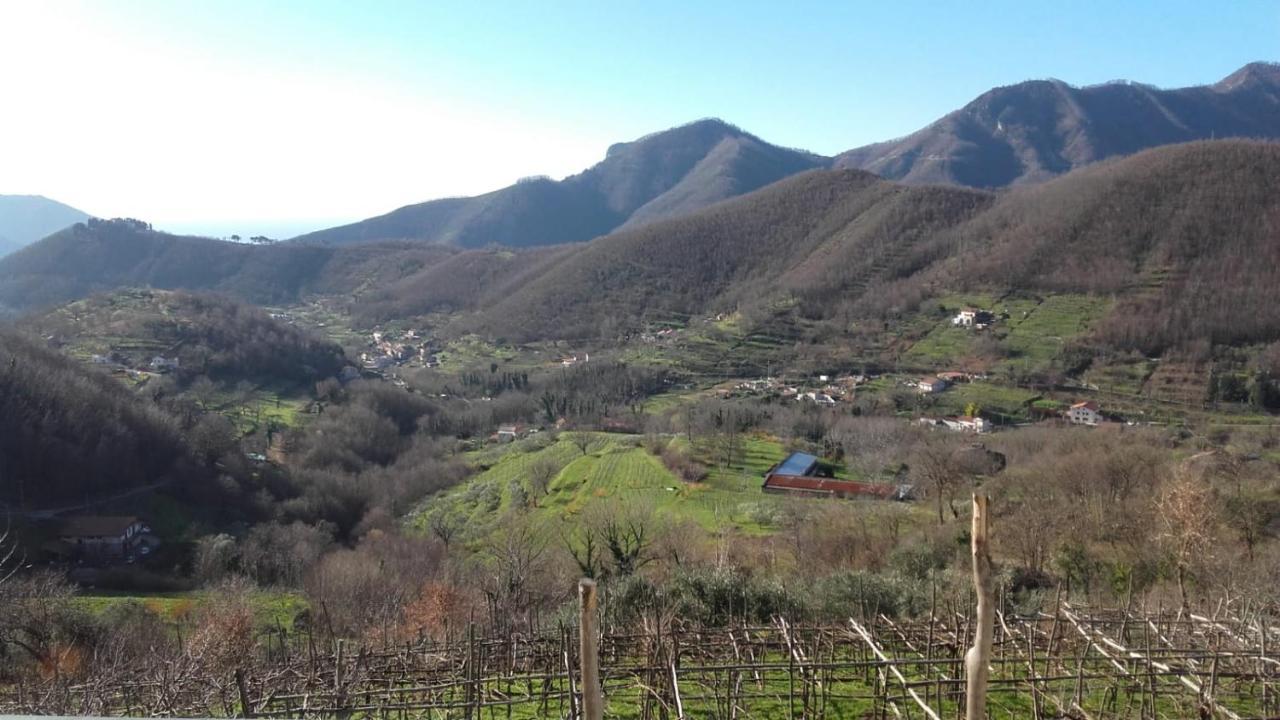 La Casa In Vigna Βίλα Tramonti Εξωτερικό φωτογραφία
